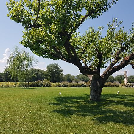 Agriturismo Villa Al Piano Тоди Экстерьер фото