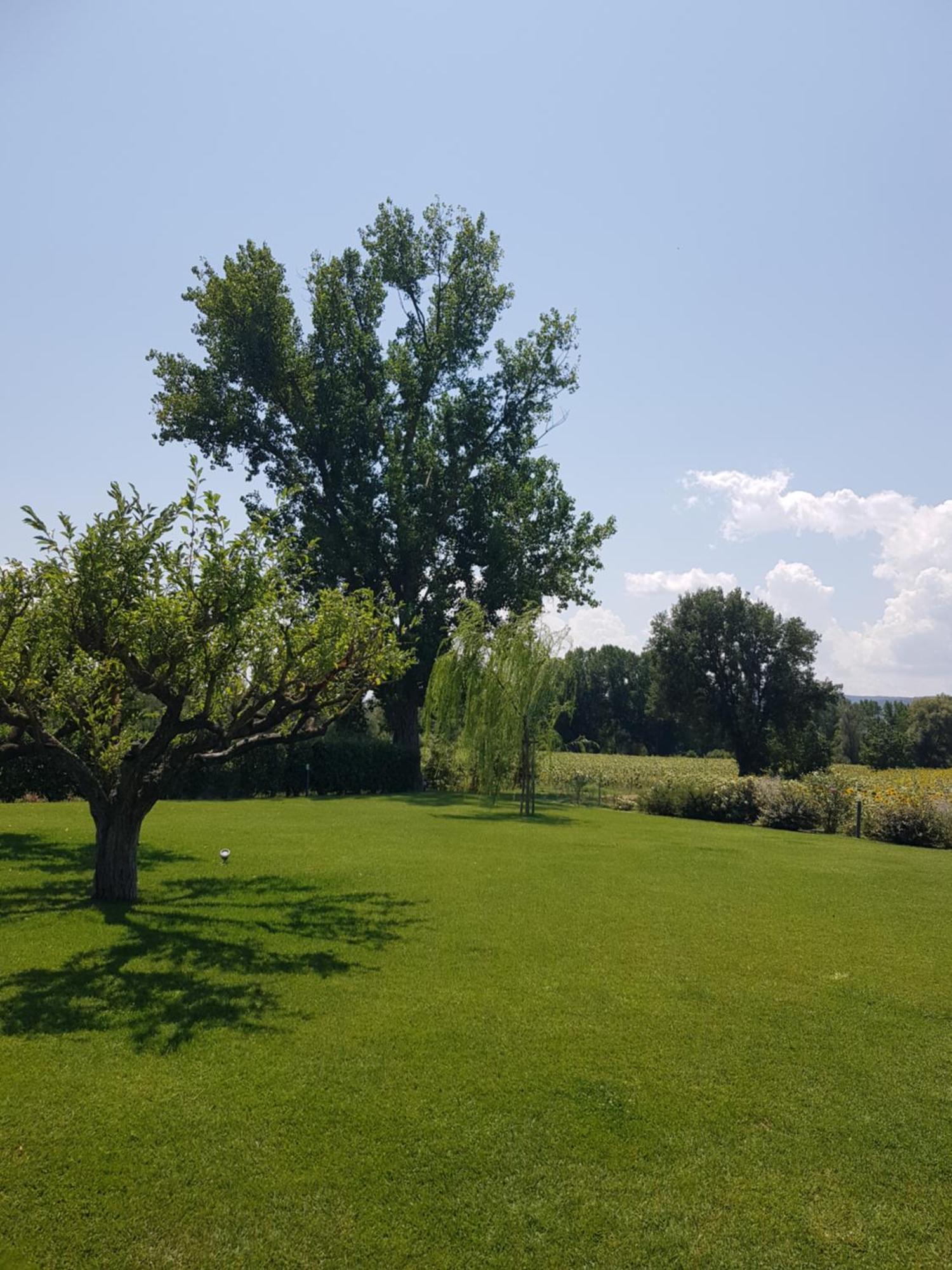 Agriturismo Villa Al Piano Тоди Экстерьер фото